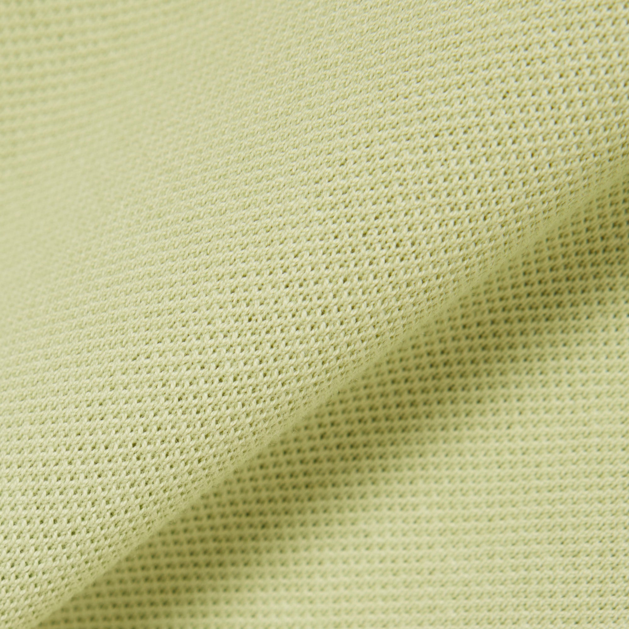 Polo Lacoste