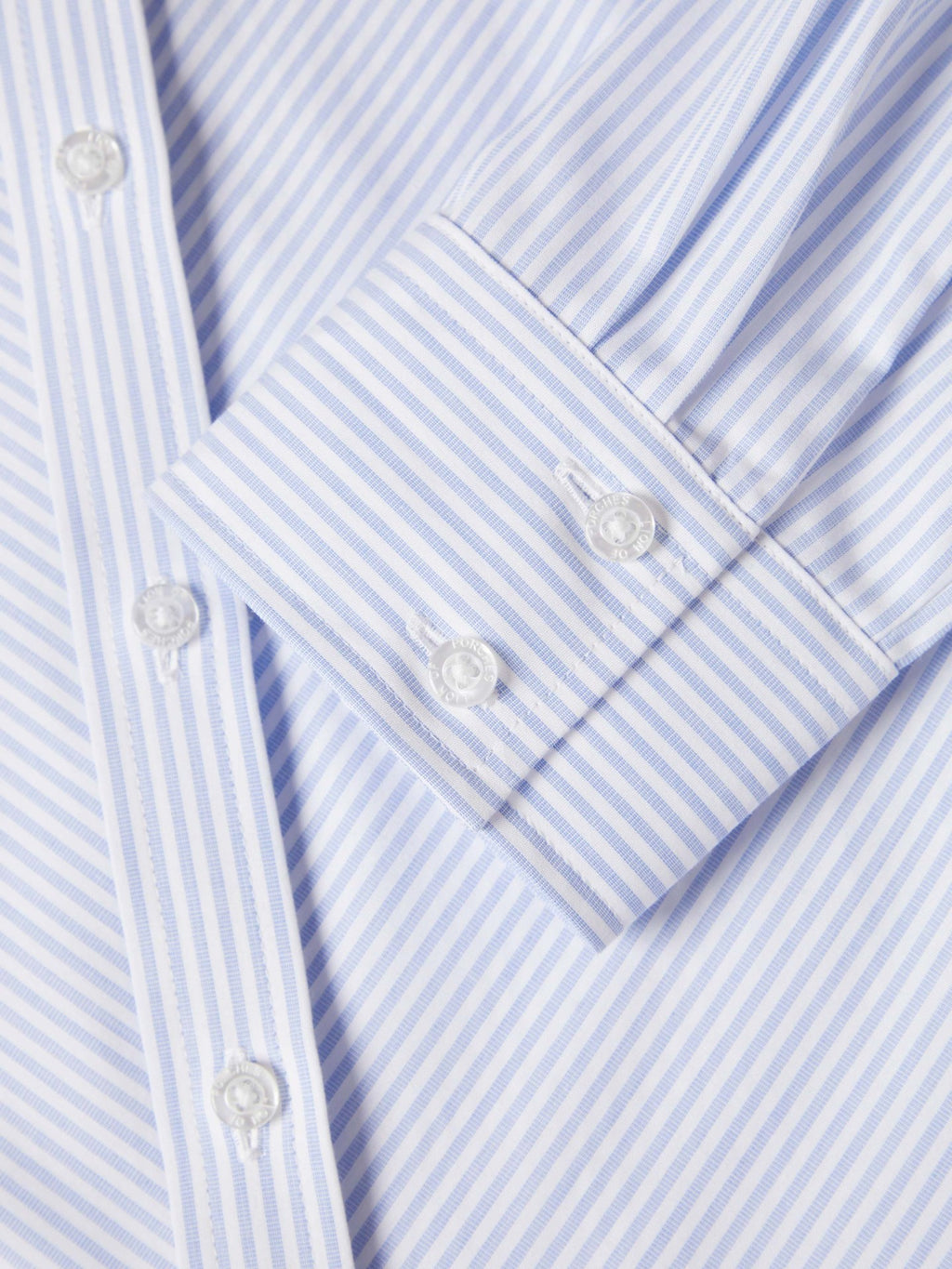 Camisa Lion of Porches